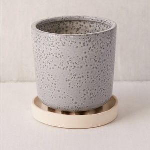 Brand New w/ Box: Urban Outfitters ‘Parker’ 6" Planter + Drainage Tray Set